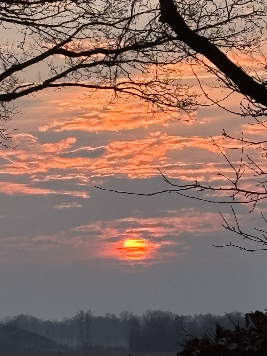 Bert Kleine Schaars tweet media