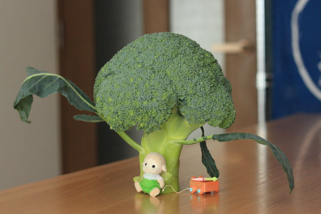 をかぴ tweet media