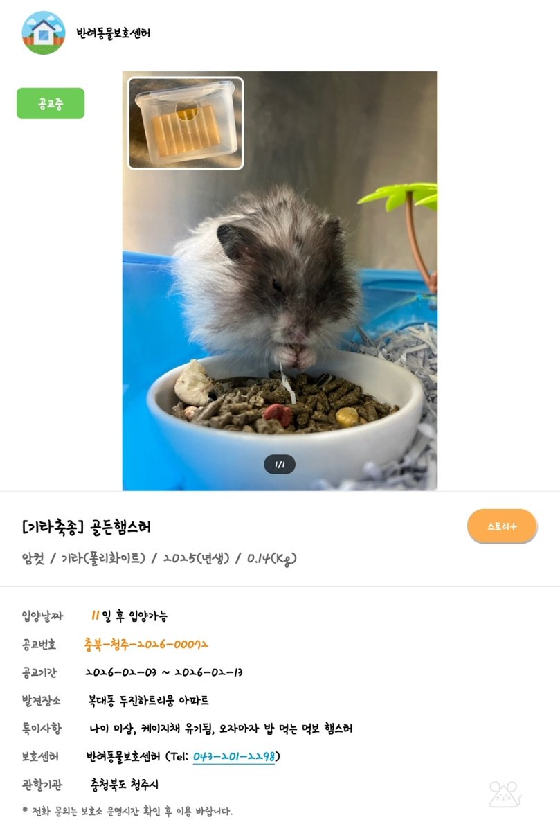 드와뿌닷쮜맘 tweet media