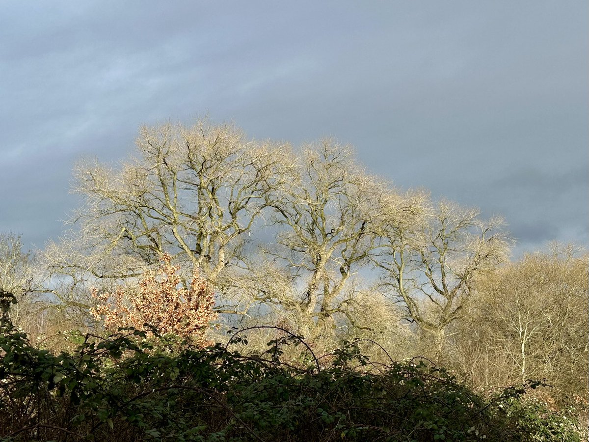 Jay Up North tweet media