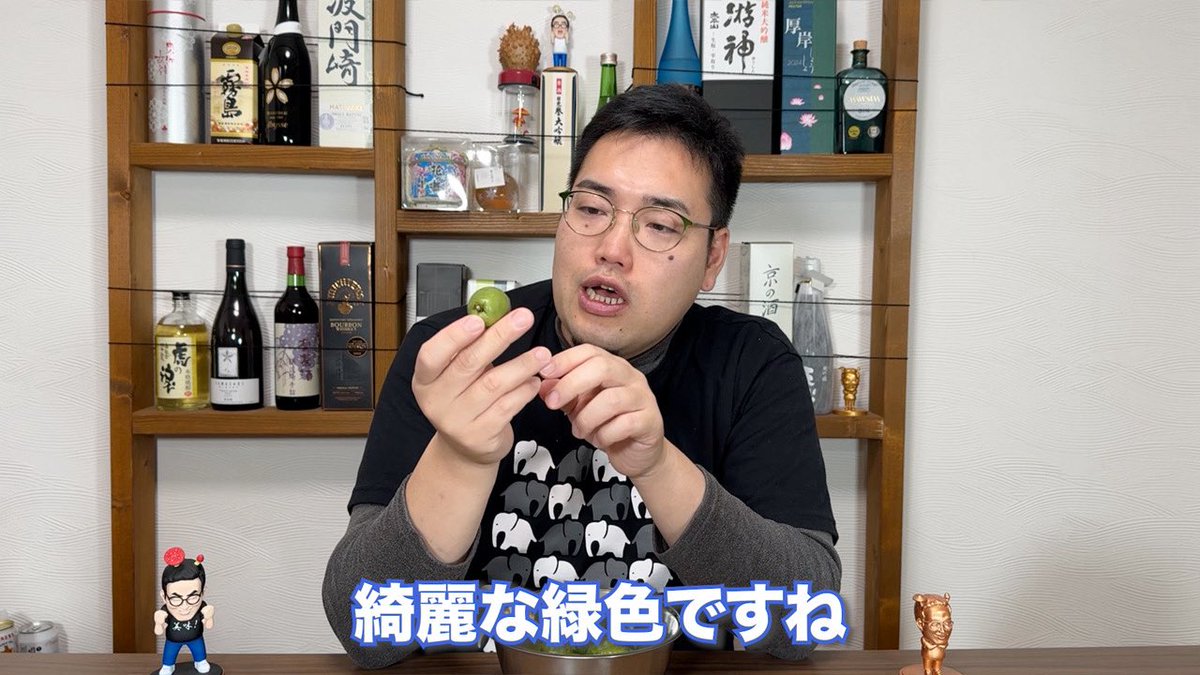 YouTubeサブ】古くから物語の中に登場するオシャレな名前の木の実