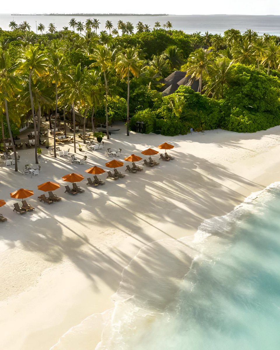 The Travel Magazine tweet media