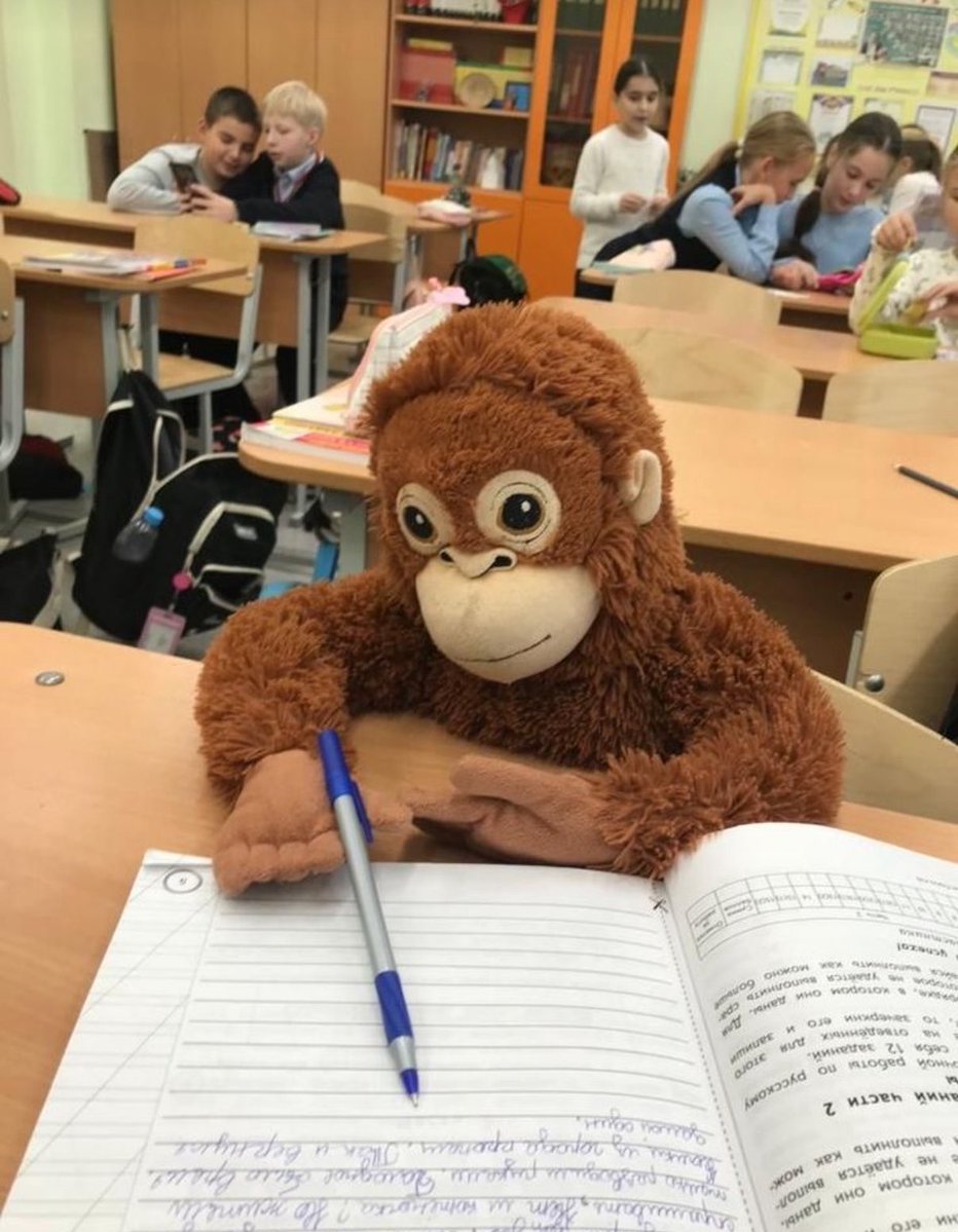 민재실 공부가 오히려 낫다는 착각에 빠지게되.