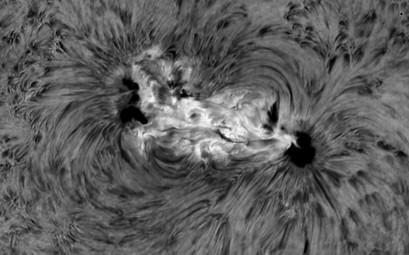 本日の太陽です。
話題のAR4366の付近です。　元気よくグニャグニャしてます。
200mmF12 x2.5, Daystar QuantumSE 0.28Å, ASI-174MM, Pentax MS-5 NS5000
2026.02.03 00:14(UT) 09:14 JST
