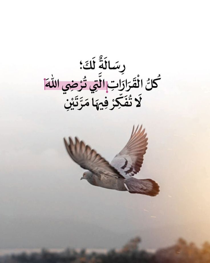 مُطمئِنةَ.! tweet media