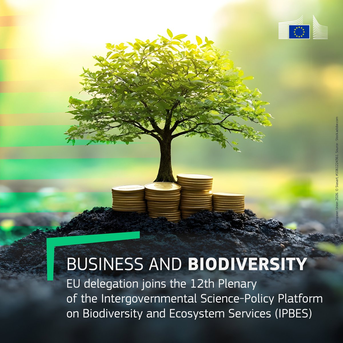 EU Science & Innovation 🇪🇺 tweet media