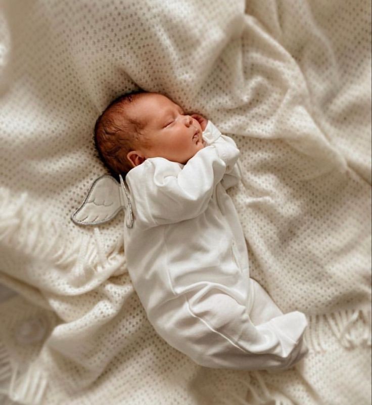 Baby's (@cuddleecute) on Twitter photo 