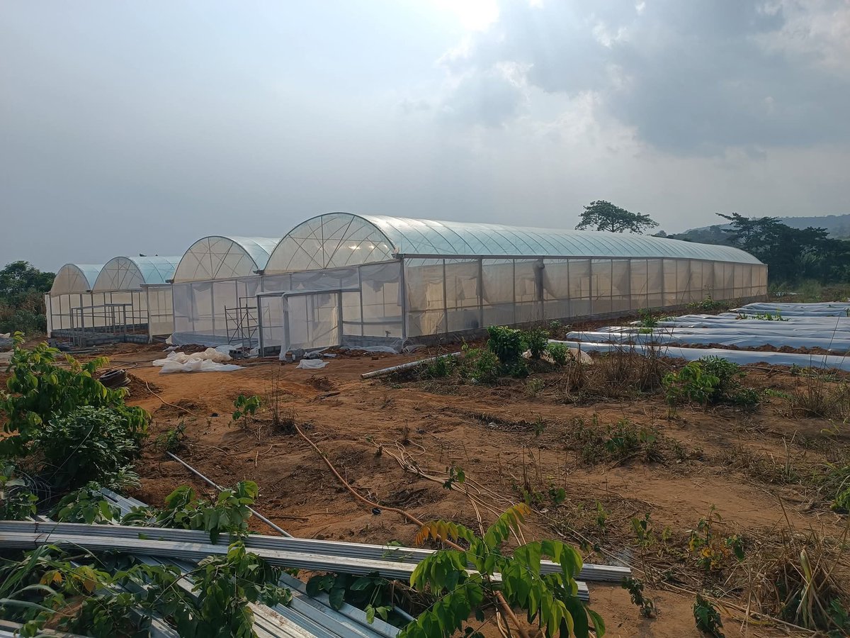 Defarmercist Alex Afari 🇬🇭 tweet media