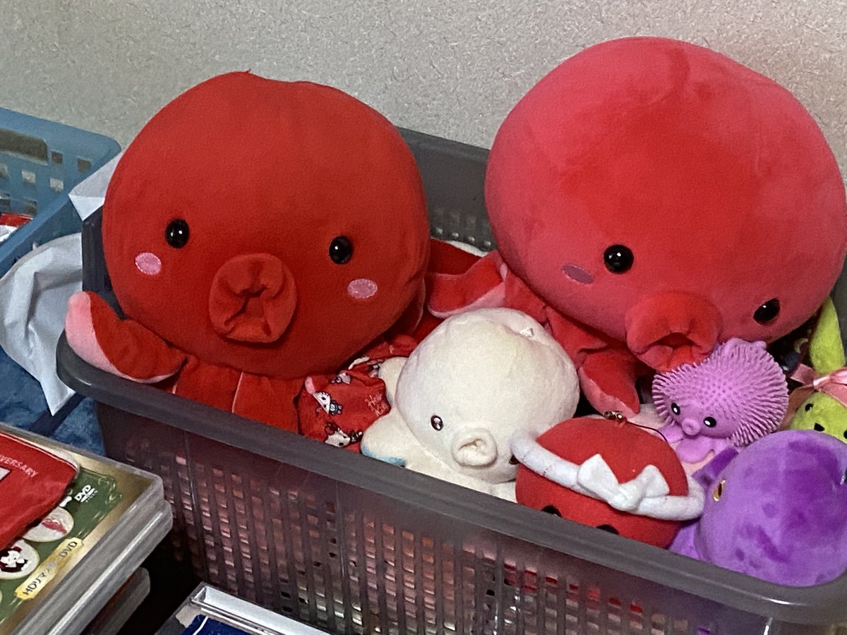 くちびるの日 我が家のタコちゃん達 笑顔で手を振るえりか2号 物思いに