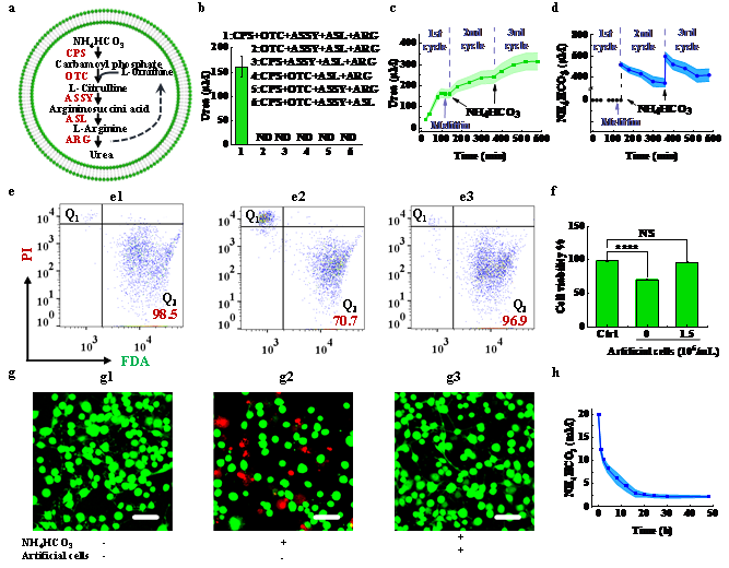 A #research team, led by Professor Han Xiaojun from HIT's School of Chemistry and Chemical Engineering and the State Key Laboratory of Urban-rural Water Resource and Environment, has made significant progress in the field of artificial cells. 

#HarbinInstituteofTechnology
