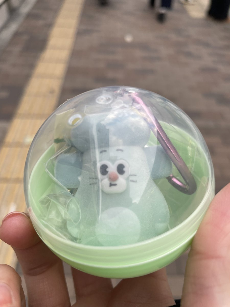 524461015bd's tweet photo. おひげのポン　カラビナつきフロッキーマスコット　ガチャガチャ　交換　譲渡

譲　ねずみさん　たぬきさん
求　買取>ポンちゃん>くまさん

大阪手渡し、サイト通し可能
サイトの場合は送料料ご負担お願いします
お気軽にお問い合わせください。
よろしくお願いいたします。 https://t.co/mEO039fDn2