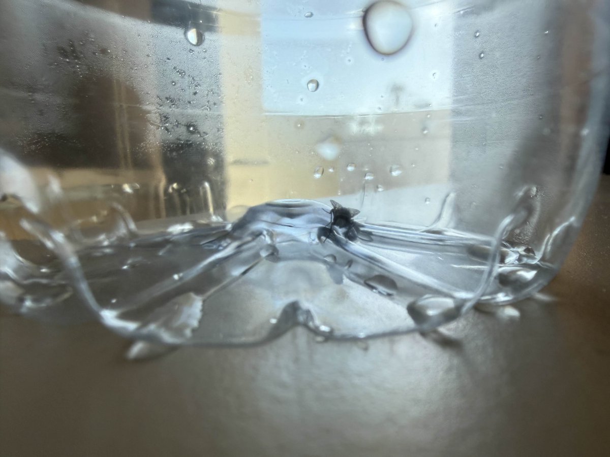 BlastCtrl tweet media