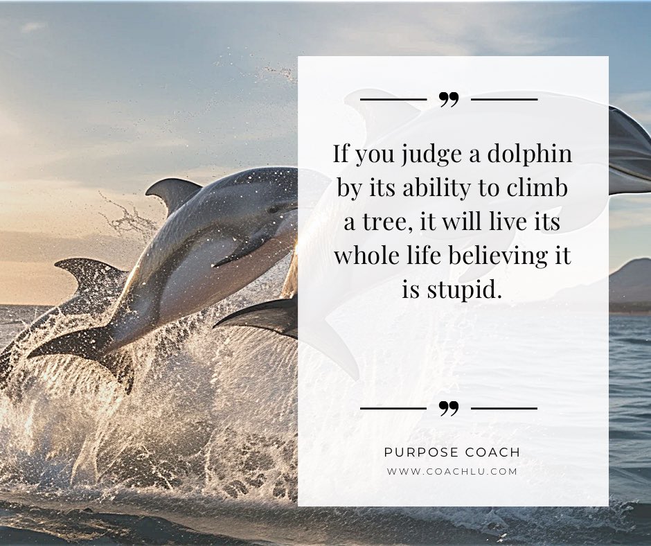 CoachLu's tweet photo. Quote of the day! 💥🐬🌳

When you uncover your purpose &amp; connect it with your natural talent, direction becomes clearer &amp; growth feels more aligned. 

If you’re looking for direction on where you’re headed or what fits you best, feel free to book a Purpose Coaching Call with me. https://t.co/o2hRDarPZx