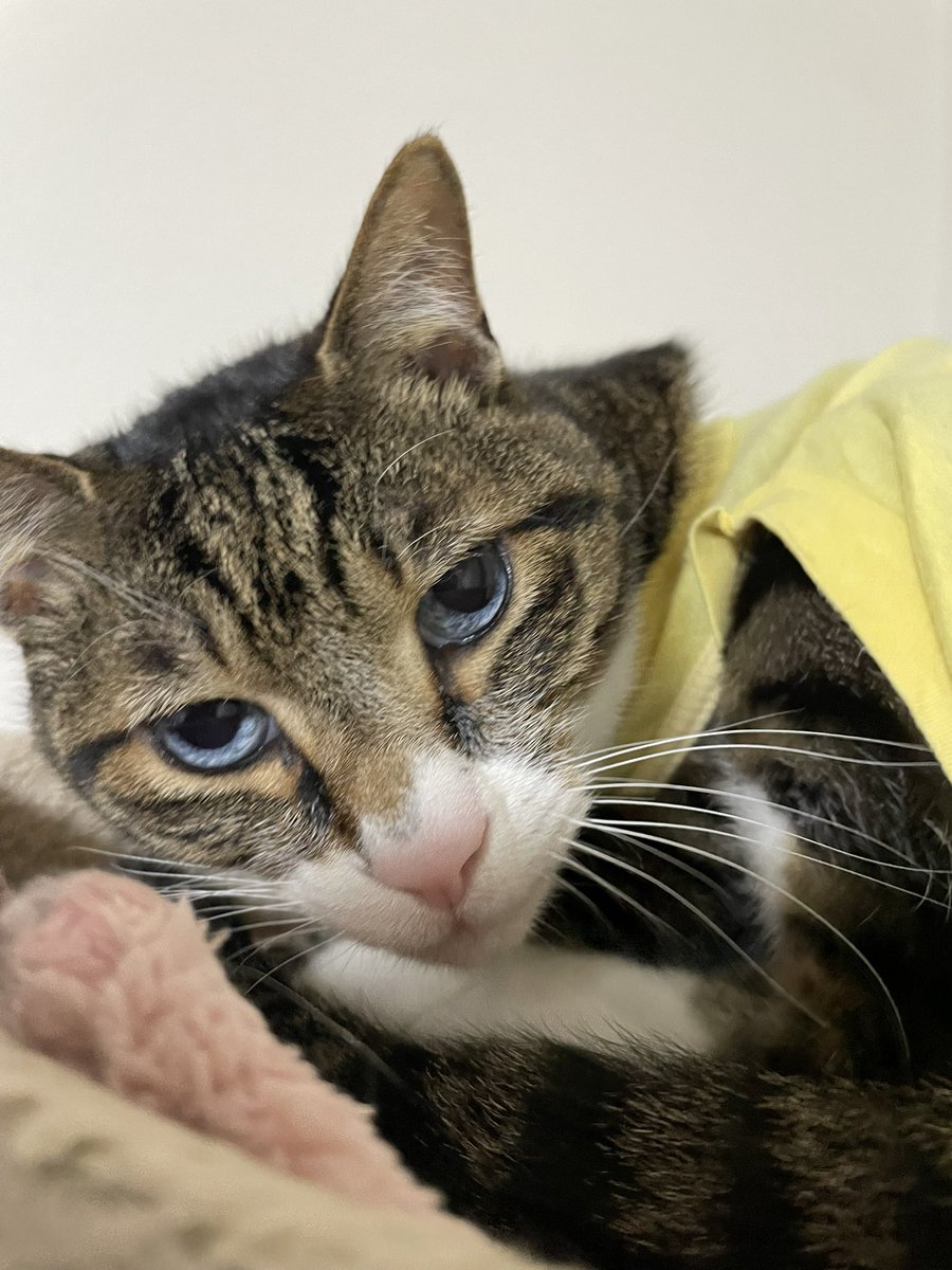 皆さんお疲れ様〜^_^