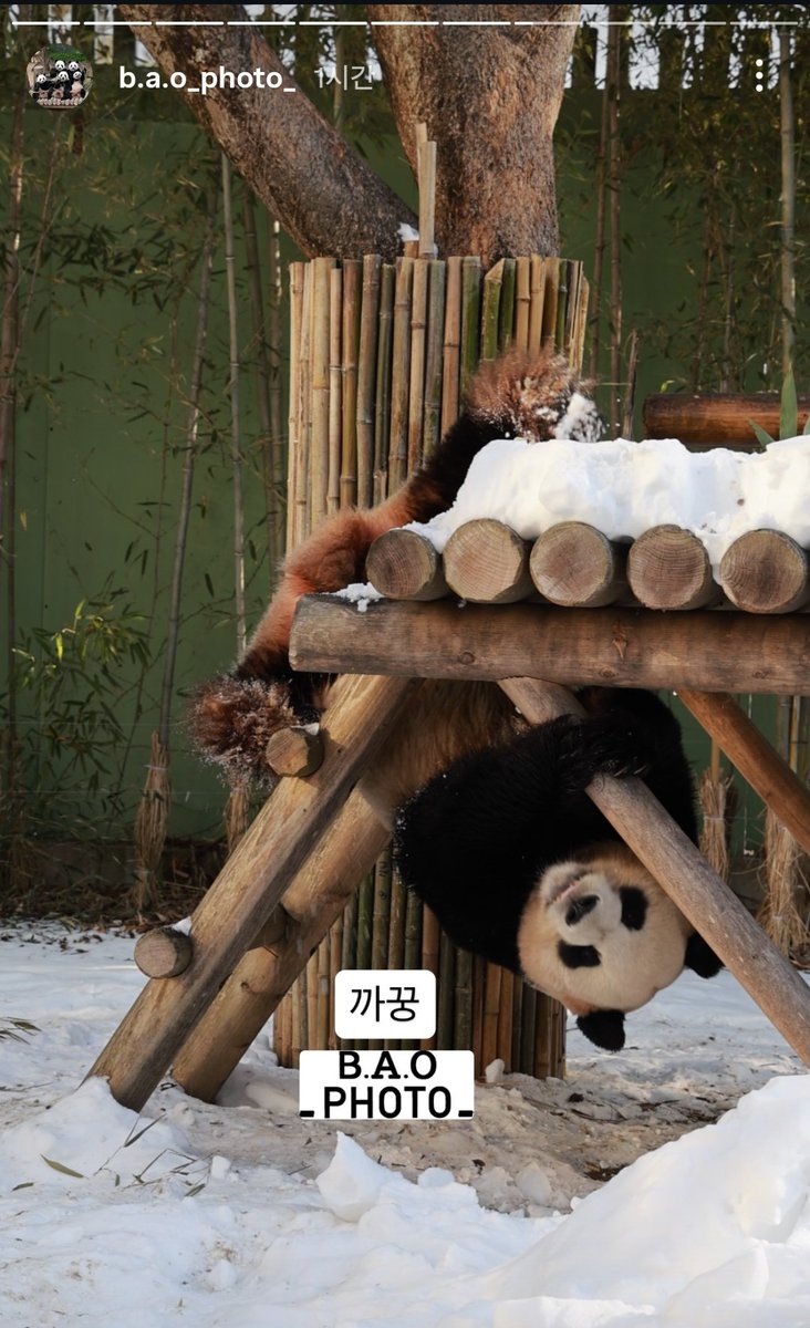 gamza_bao's tweet photo. 아빠                                                딸 https://t.co/y65Mfvi5Dw
