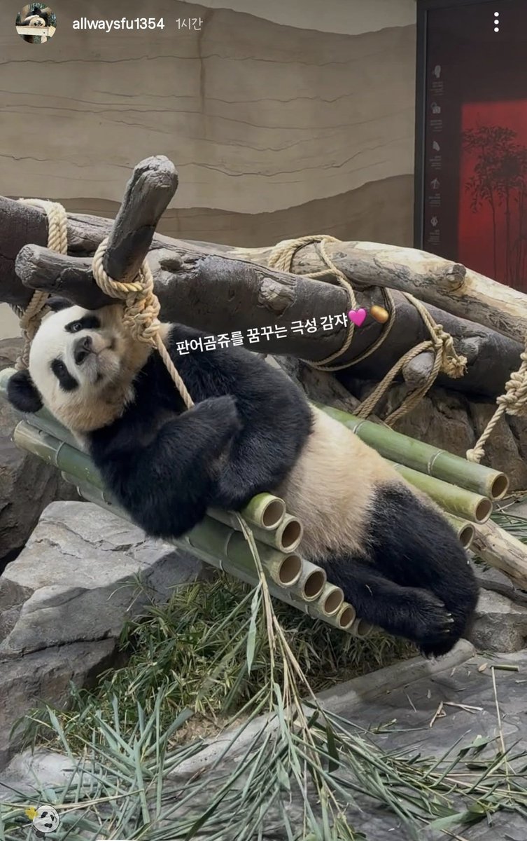 gamza_bao's tweet photo. 아빠                                                딸 https://t.co/y65Mfvi5Dw
