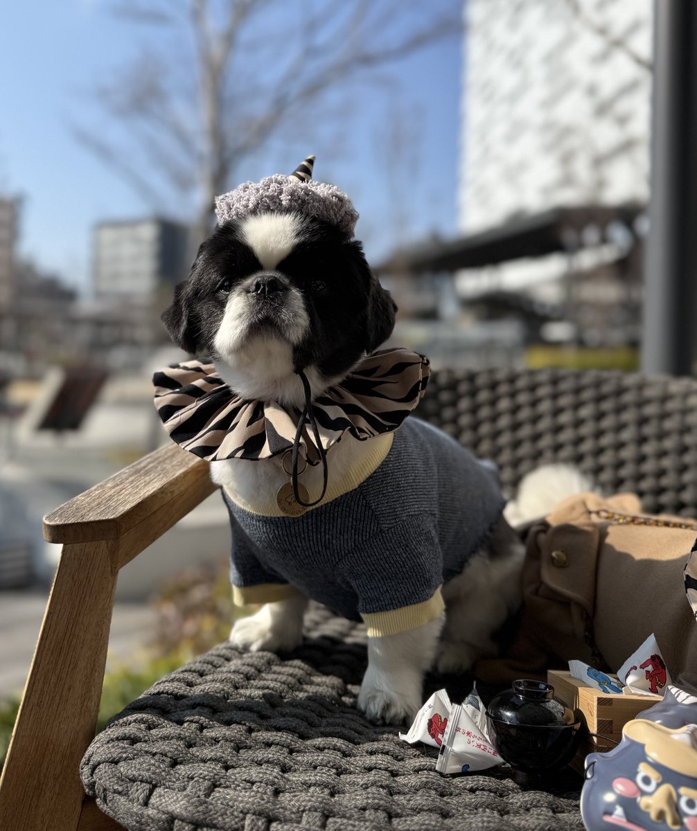 川上優 (森野雫)