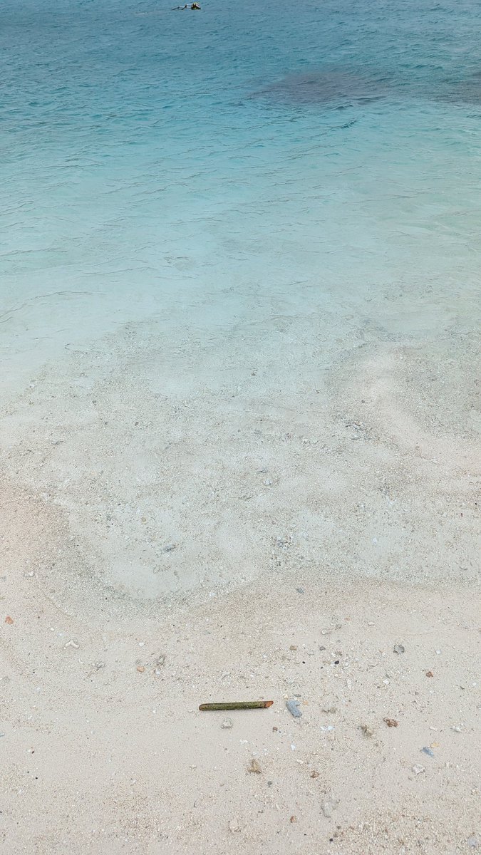 こんな場所にいました🌊