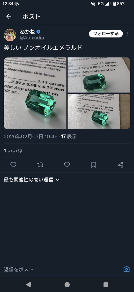 私の画像盗用にとどまらず、
他所様（Victorianbox様）の投稿内容まで許可のない盗用が確認されたため、注意喚起として投稿いたします。
今回は、ご本人に辿られないよう事前にブロックするなど、悪質性も感じられる対応でした。
※本投稿はVictorianbox様のご承認を得たうえで掲載しております。