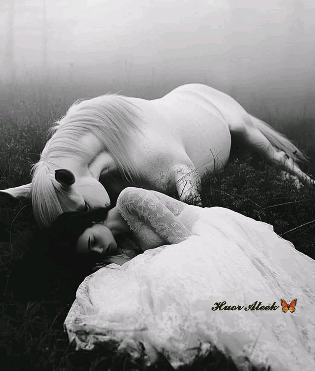 Samo سامو tweet media