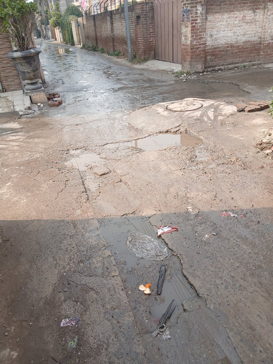 Aleema🇵🇸 tweet media