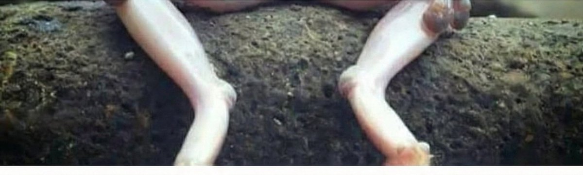 Görsele tıkladığınız da dikey sürpriz çıkacak