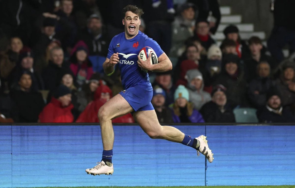 David ⭐⭐ tweet media