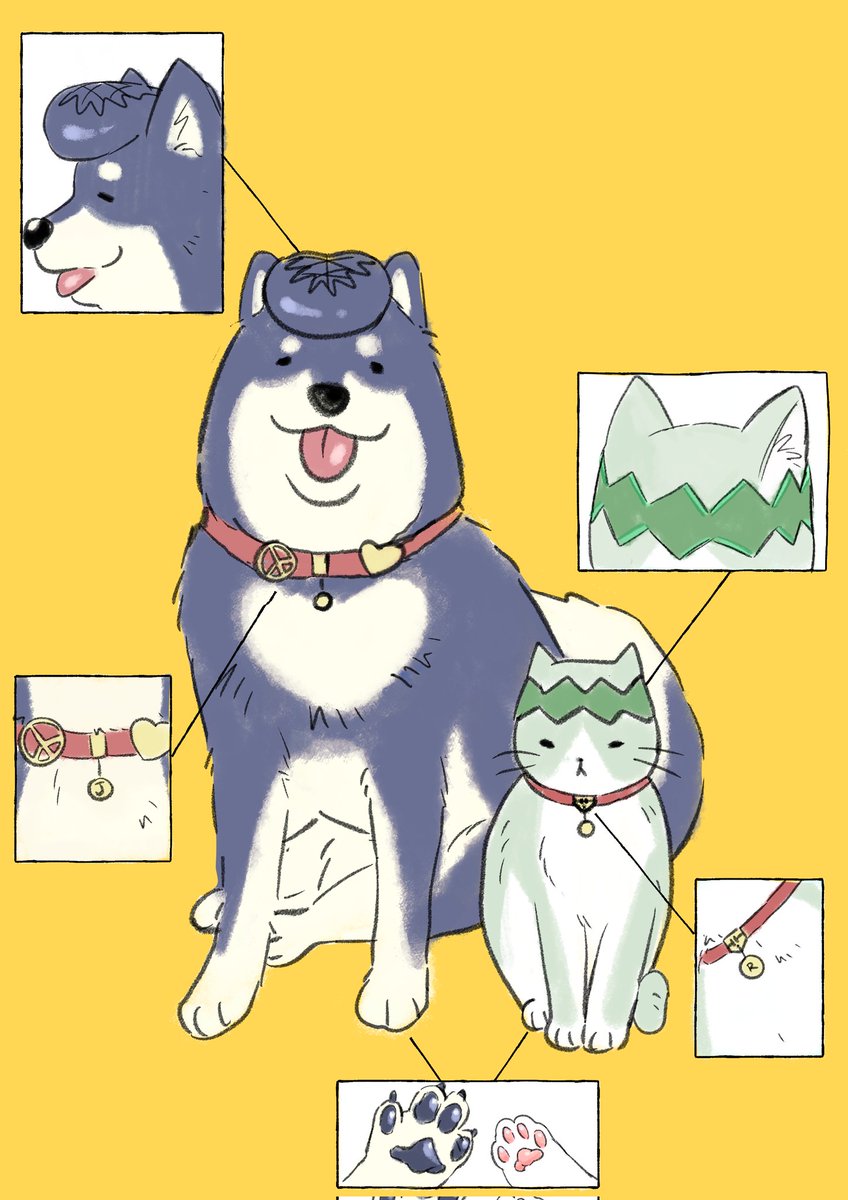 U⁠^⁠ｪ⁠^⁠U ）(⁠=⁠^⁠・⁠ｪ⁠・⁠^⁠=⁠)