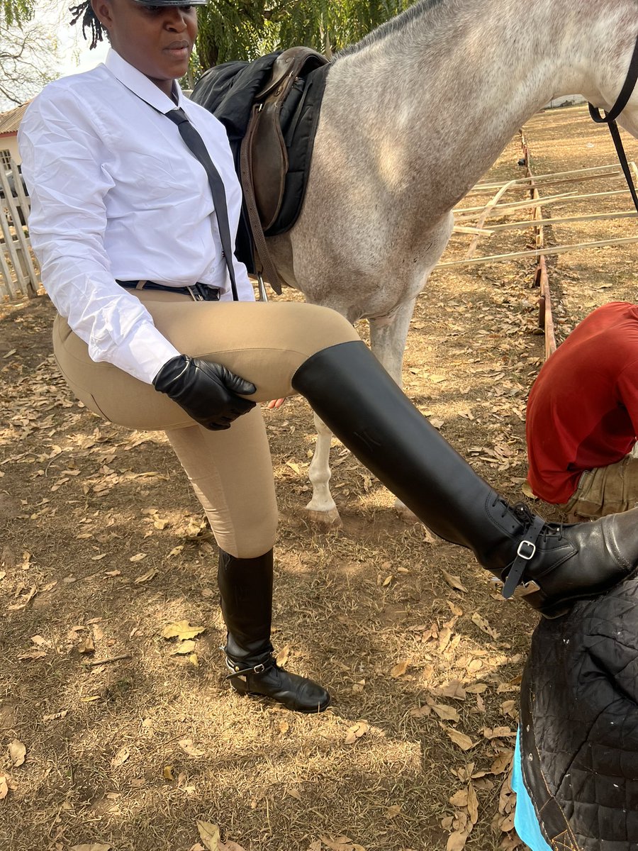 booted_bola's tweet image. Mandatory Duties! My Boot boy must always present his back for an endurance test before he can used as an assistant to mount my horse. It will be unpleasant for you to see a queen falling due to weak and unstable boot 😠😈#ridingmistress #ridingboots #breeches #spur