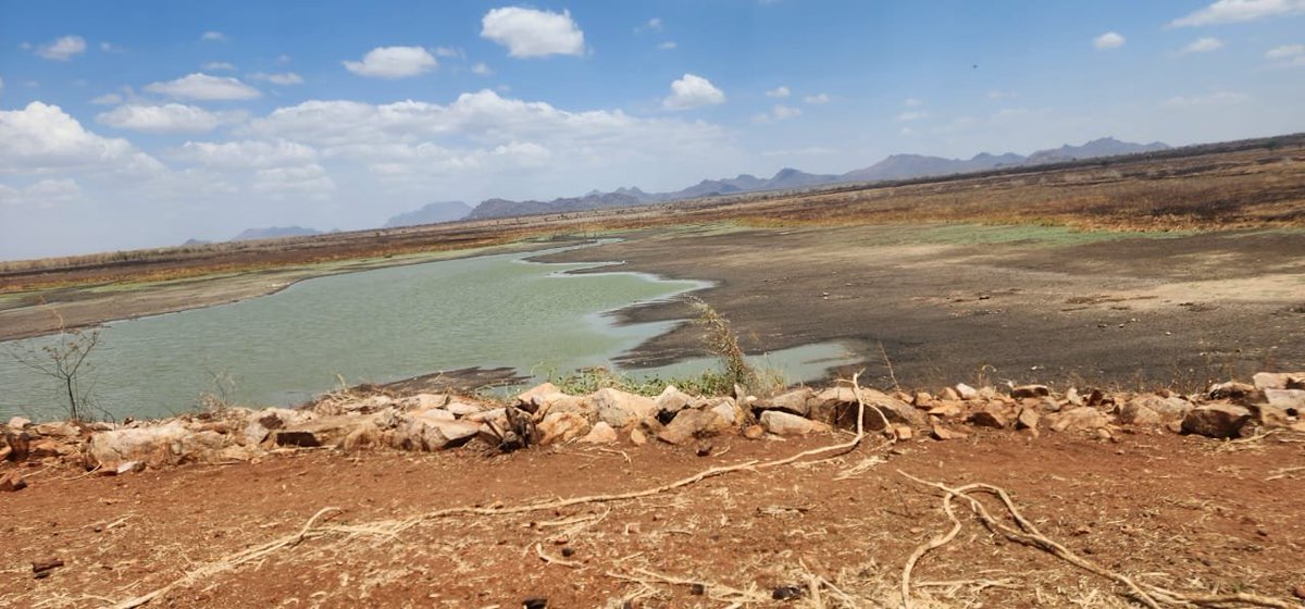 Alokong's tweet photo. #Kobebe Dam in Moroto, Karamoja, constructed in 2010 at a cost of $2.5M, dries up prematurely, leaving thousands of pastoralist households without reliable livestock water. Sustainable rehabilitation and improved catchment management are urgently needed.@OPMUganda @min_waterUg https://t.co/DDb8mDb0hi