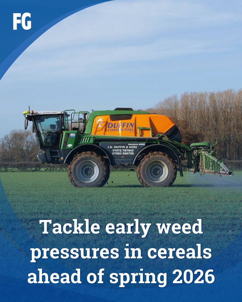 FarmersGuide's tweet image. As spring gets underway, growers are reminded not to overlook the importance of early-season weed control in spring cereals. 

Read more ➡️ farmersguide.co.uk/arable/spring-…

#WeedControl #SpringCereals #CropManagement #AgricultureTips #CerealCrops #Cereals #Arable #ArableFarming