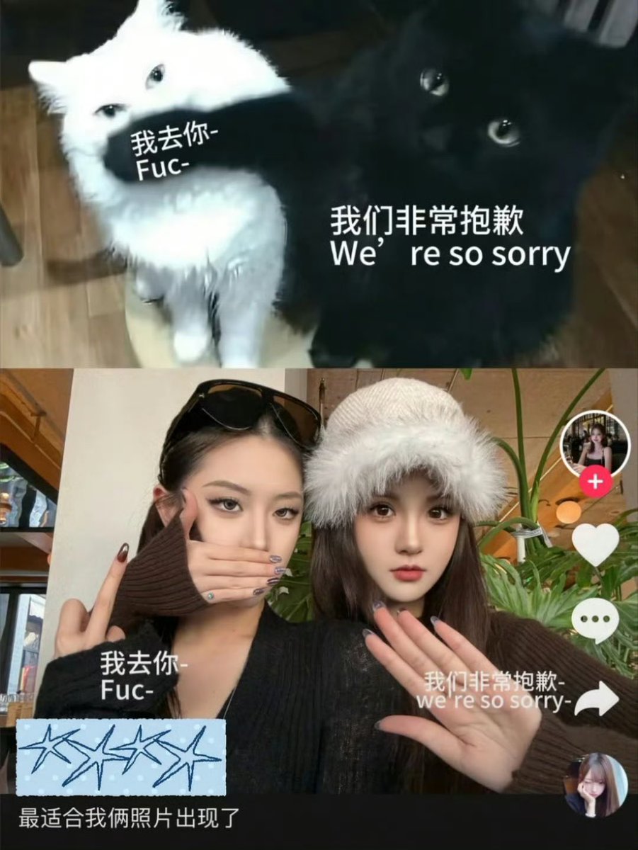 ed猴的绝望妻子 tweet media