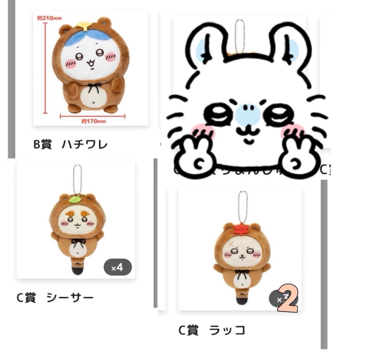 卯月 🐾 tweet media