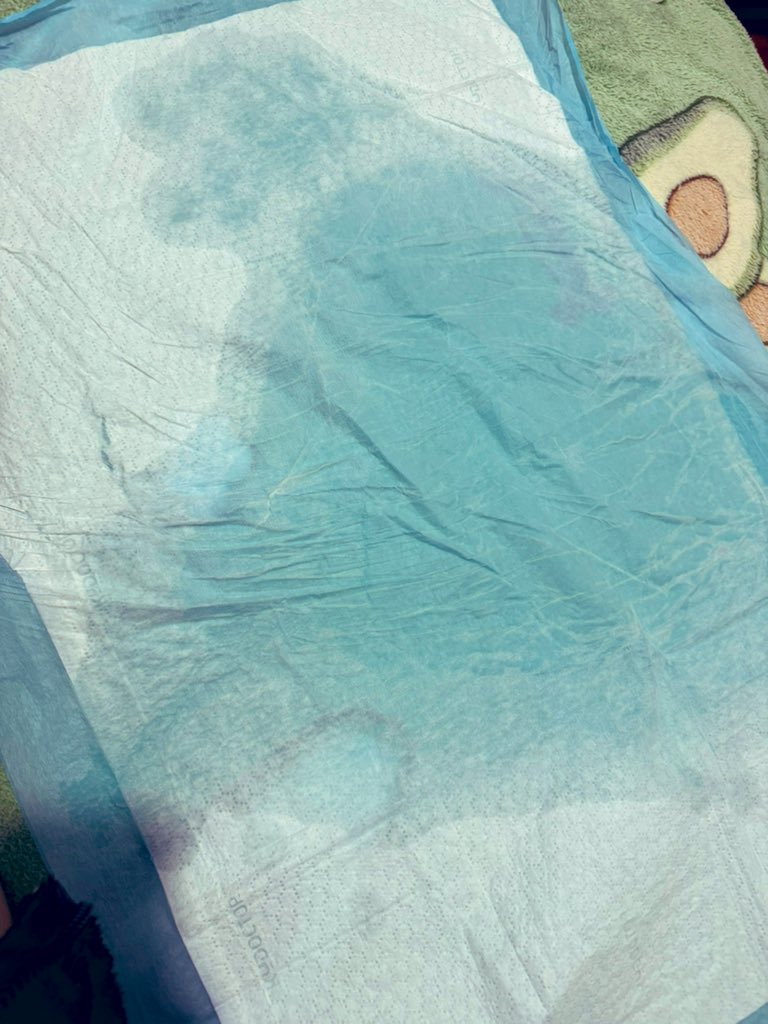 大黄米粘豆包 tweet media