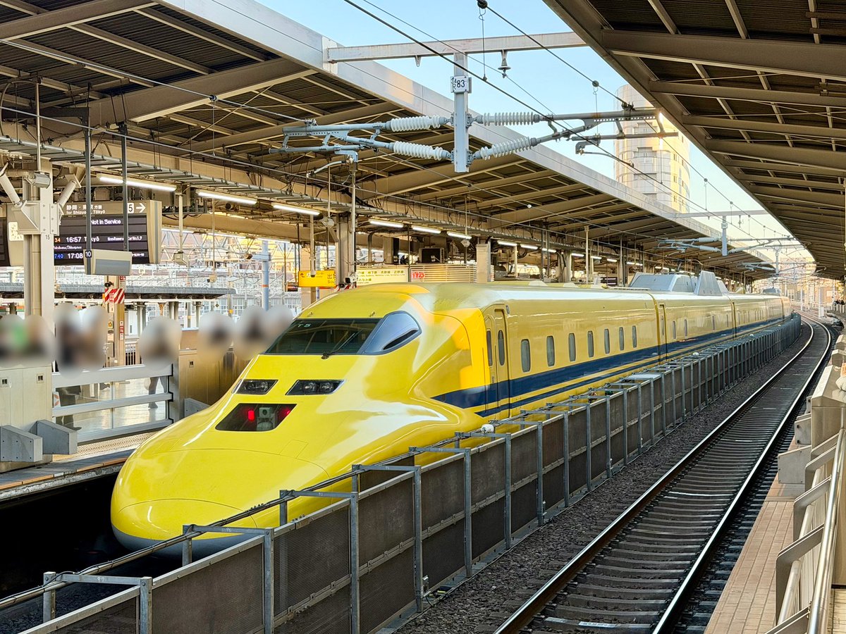 黄色いお医者さんがお出迎え
