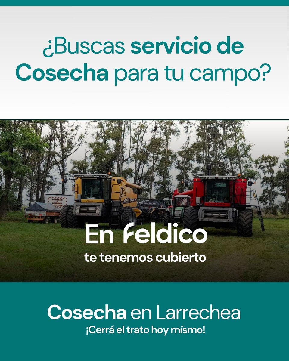feldico's tweet image. 🌾 ¿Buscás servicio de cosecha?
En Feldico te tenemos cubierto.

🚜 Massey Ferguson MF 9790 (2015)
📍 Larrechea, Santa Fe y zonas cercanas

Cerrá el trato hoy 👇
🔗 feldico.com/cosecha/larrec…

#cosecha #agro #campo #agroargentina