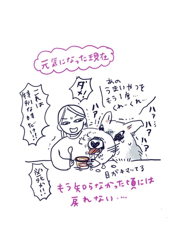 サンの手術後〜近況らくがき
犬のみんな胃捻転だけは気をつけてね!発症2時間内に病院へGO!しなきゃなので普段から夜間緊急病院の連絡先のブクマをオススメします
めちゃくちゃ焦るので…🐺
