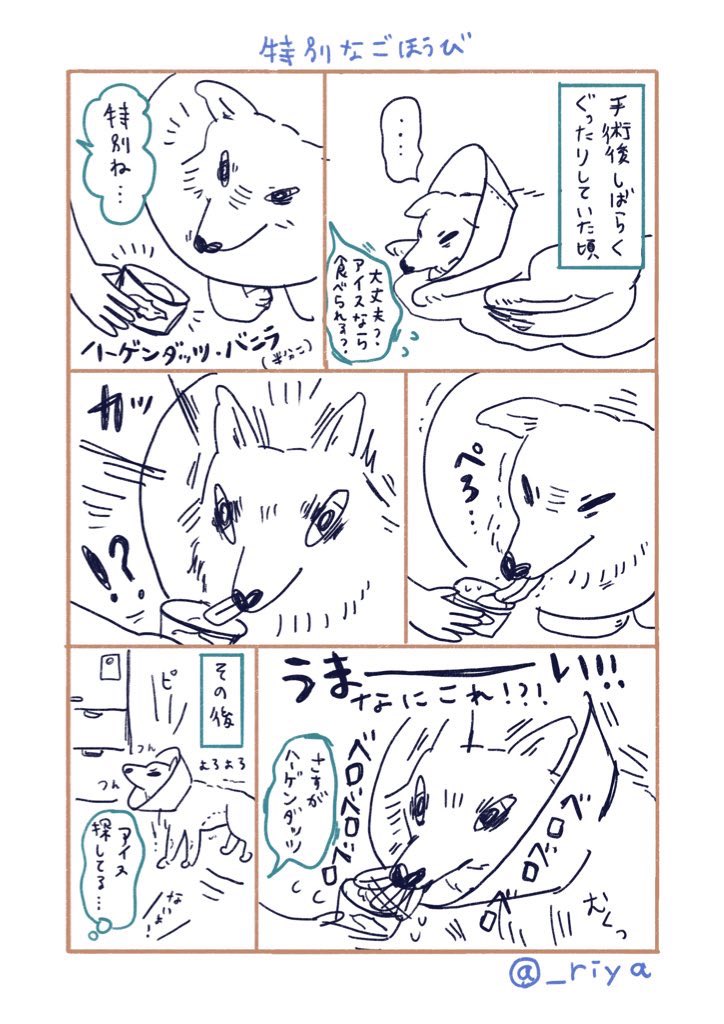 ナオ (@nao901) / Posts / X