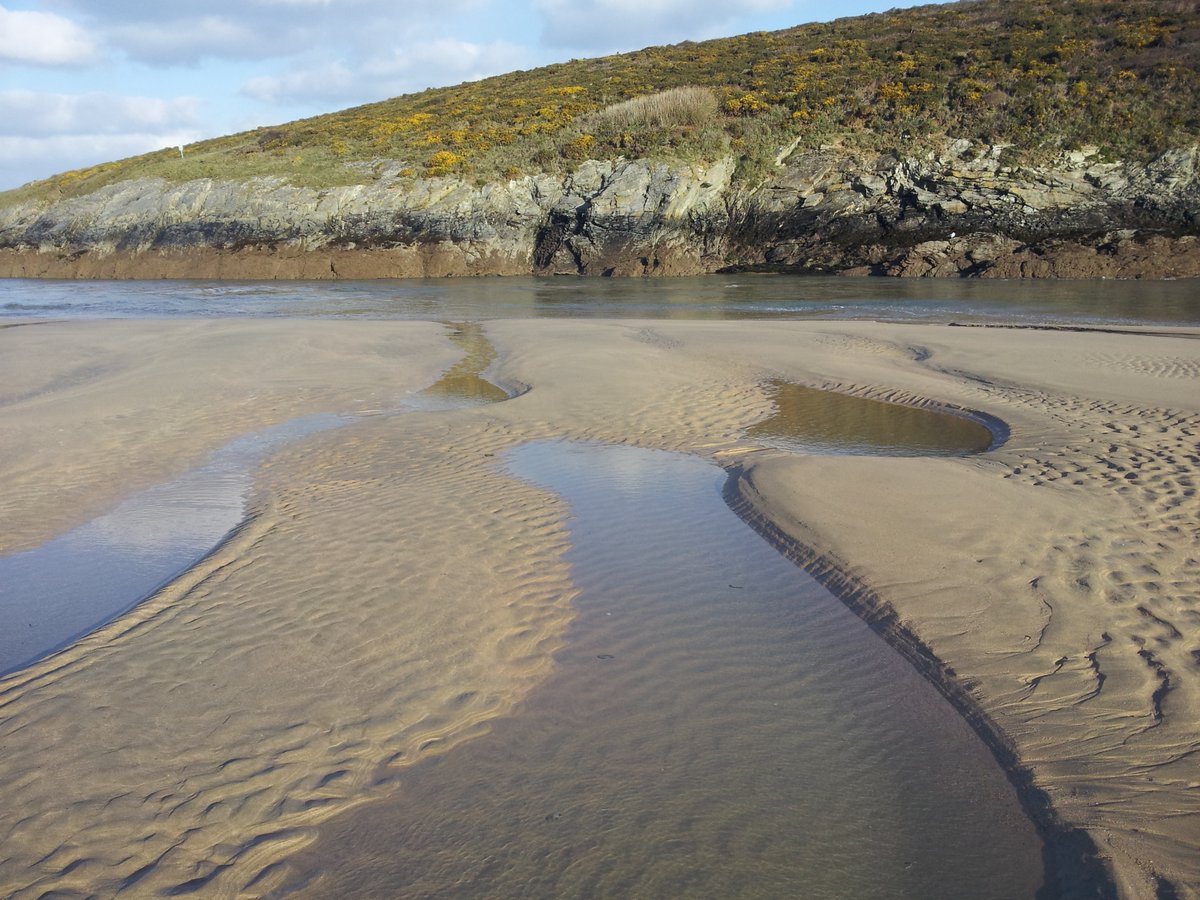 manonabeach tweet media