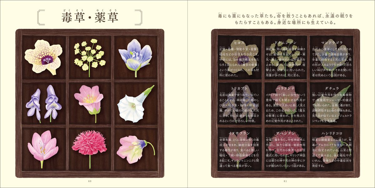 akicomimi's tweet photo. 【お仕事】
さとうかよこさんの著書「自然のコレクション図鑑」（幻冬舎）のイラストを担当いたしました。
鉱物や生きもの、植物など36のテーマごとに標本箱に集めるようにレイアウトされた小学生向けの図鑑です💎
デザインはtobufuneさんです。

（ページ掲載許可済み）

https://t.co/CIocQtzKKs https://t.co/Ha5QLBM0Wp