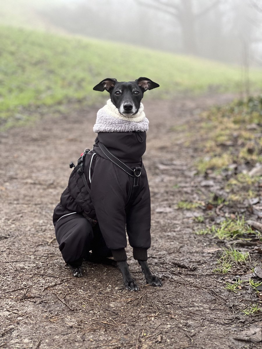 Good morning friends!