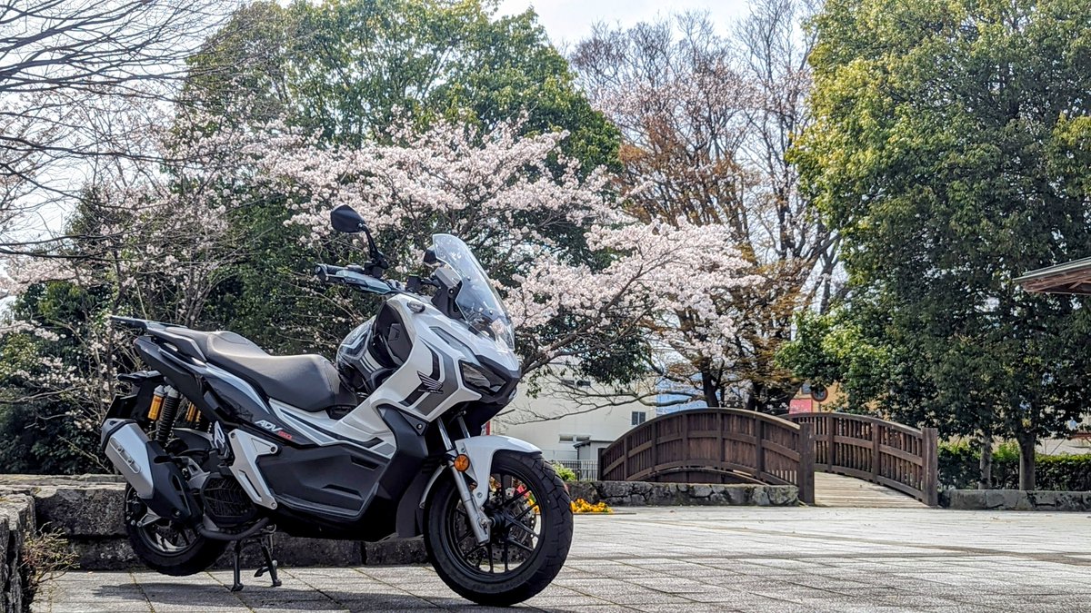 narusio150's tweet photo. うちの２輪車たち画像更新
名前:なるしお  
性別:♂️年齢:60   
住所:平安京  
愛車:Ducati Diavel2015
    　 Honda ADV150
  　　ADO Air28Pro(ﾁｬﾘ)
  　　BROMPTON M6R(ﾁｬﾘ)
好き:メカ全般的に大好物です
#バイク乗りとして軽く自己紹介 
#バイク乗りと繋がりたい https://t.co/0fbmDHBRwL