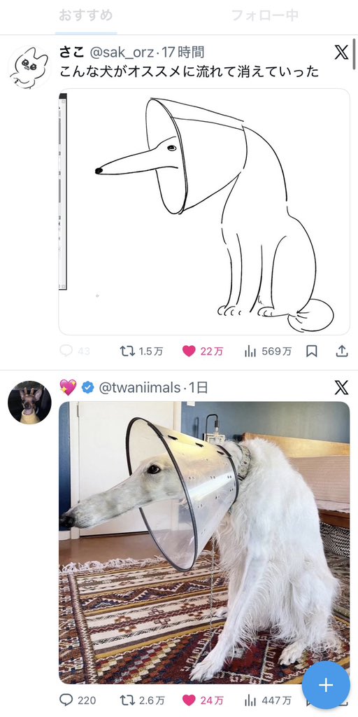 phony_nico's tweet photo. @twaniimals https://t.co/YjcJkq0Uzr
