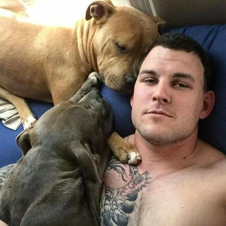 PuppiesSteve's tweet photo. @FoxNews I got some nice puppies here just follow me if you are interested in getting any https://t.co/Oh38njEg6U