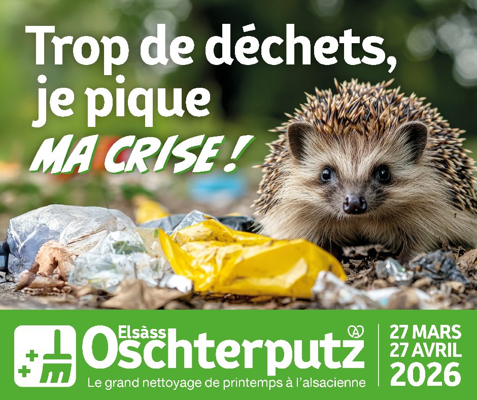 Alsace's tweet image. Chaque année, des milliers de bénévoles se mobilisent pour ramasser les déchets abandonnés. Communes, associations, établissements scolaires, entreprises, clubs sportifs… Soyons nombreux à organiser des actions locales : bit.ly/elsass-oschter… #Alsace