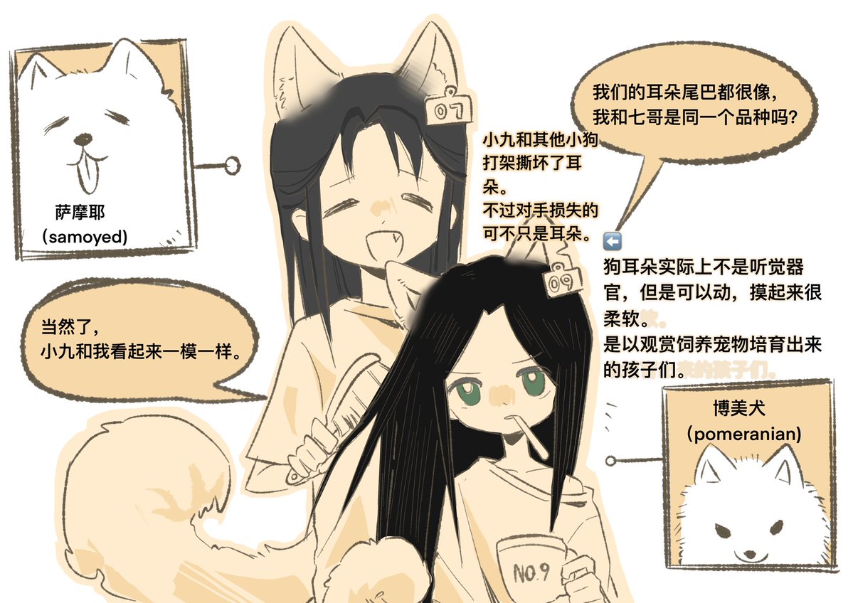 Xiaojiu bit the human who put an ear mark on his ear.

I drew this just because I want to see humans with canine ears and tails.
#svsss
#QiJiu 
#七九