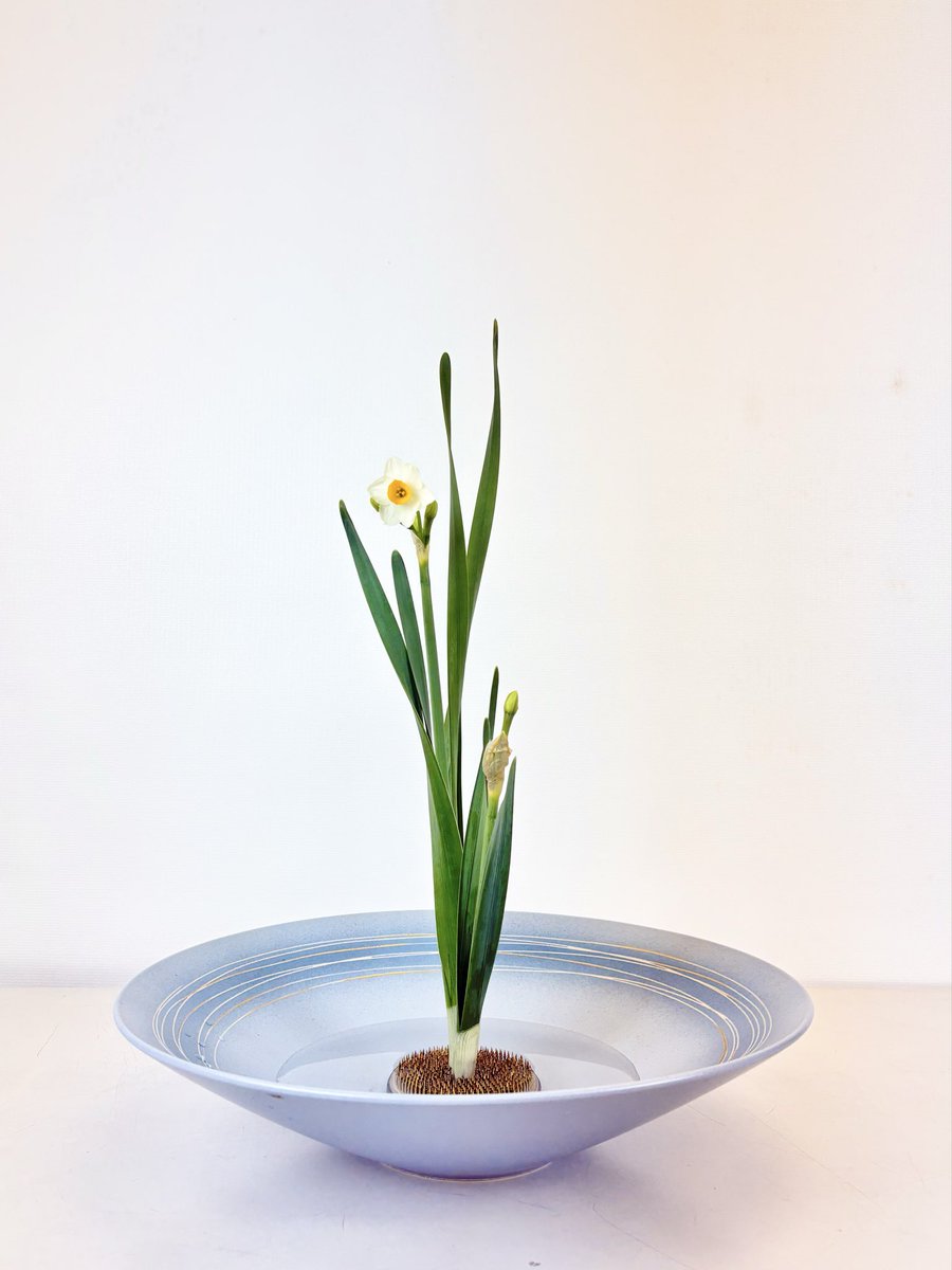 葉月 (hazuki) (@hazuki_0806_) / Posts / X