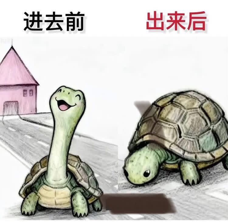 懂的都懂！🤣🤣🤣