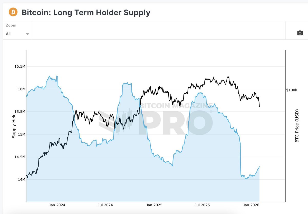 cryptorover's tweet photo. Long term holders are BUYING Bitcoin again! https://t.co/QIbEFizHNE