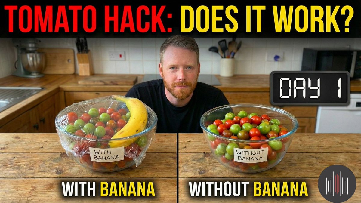 Garden flex: “I built a tomato ripening chamber.”

Reality: it’s a bowl, a towel, and a banana. 😂

But hey, it works.

See the full banana trick

#gardeningtips #gardeninginspiration #GardeningX #gardening globalowls.com/quickly-ripen-…